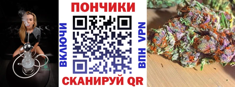 Бошки Шишки THC 21%  Новая Ладога 